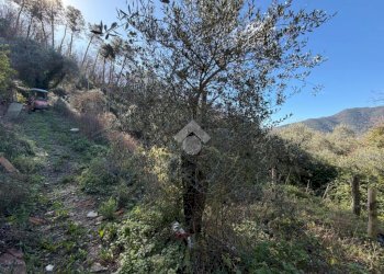 Terreno edificabile Località Castelletto, Moneglia - foto 25