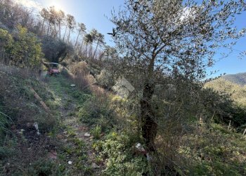 Terreno edificabile Località Castelletto, Moneglia - foto 27