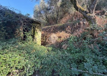 Terreno edificabile Località Castelletto, Moneglia - foto 29