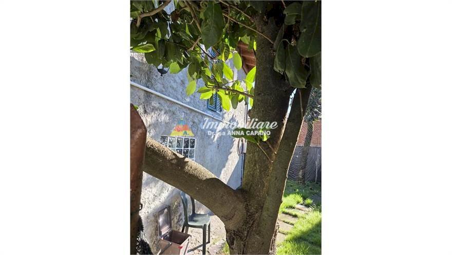 Villa MADDALENA DI CAZZANO CENTRO, Budrio - foto 3