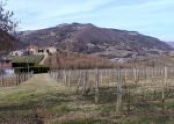 Agricultural land Canelli - photo 22