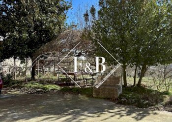 Casa indipendente San Damiano d'Asti, San Damiano d'Asti - foto 50