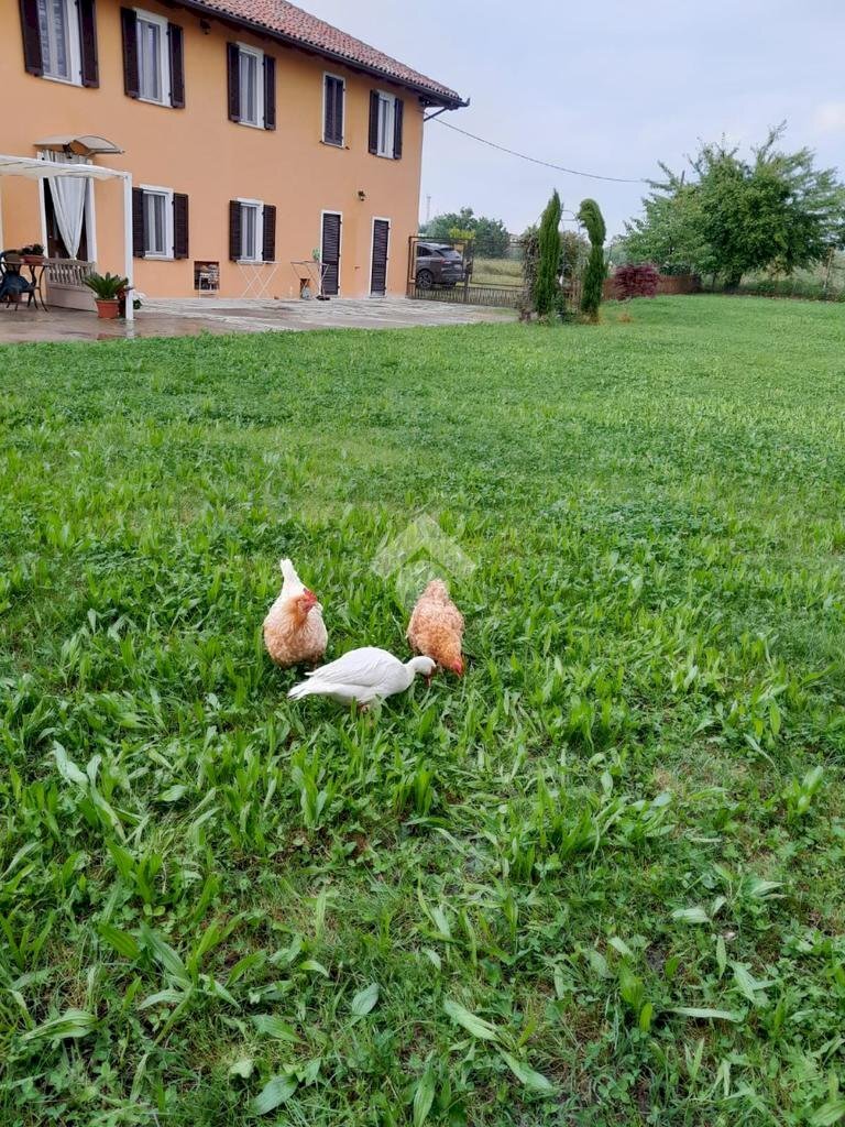 Casa indipendente Frazione Revignano, Asti - foto 2