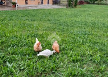 Casa indipendente Frazione Revignano, Asti - foto 2