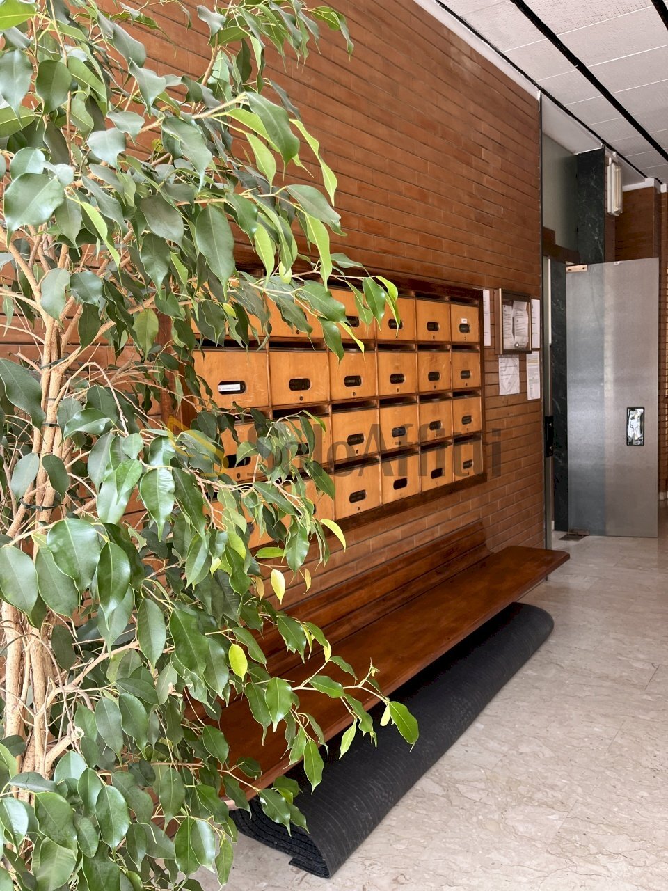 IMG_9601.JPG - Appartamento Via Giuseppe Mazzini 23/A, Potenza - foto 1