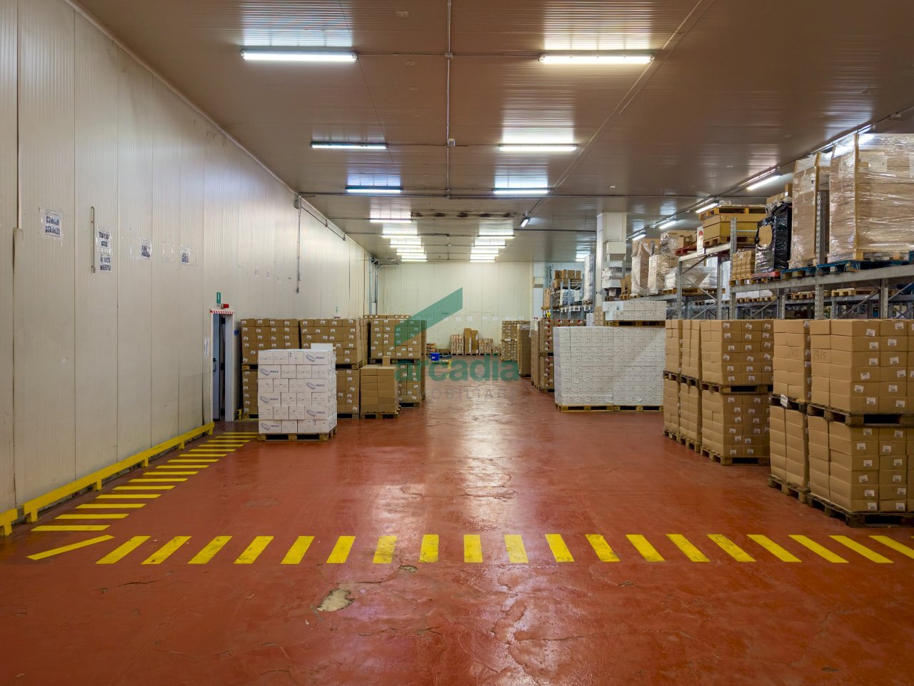 dettagli - Commercial Premises Via Casamassima 91, Capurso - photo 3