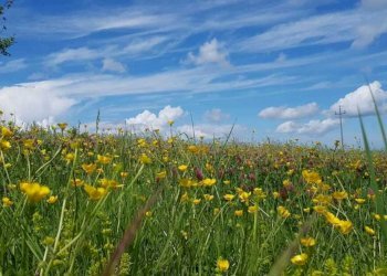 07 DI LEO IMMOBILIARE VENDE MERAVIGLIOSA CASA DI M - Casale VILLA CASALICCHIO s.n.c., Amandola - foto 7