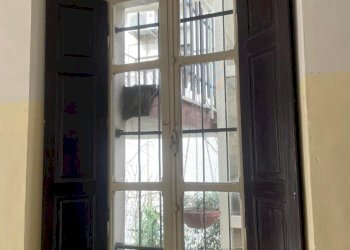 WhatsApp Image 2026-03-03 at 12.14.16 (2).jpeg - Locale Commerciale Via XXIV Maggio 80, Novafeltria - foto 5