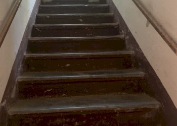 IMG_9320.jpg - Bilocale Pietrasanta - foto 22