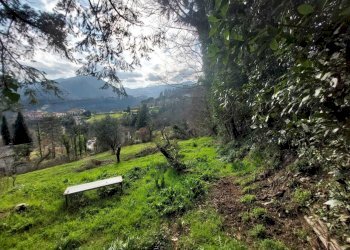 giardino - Villa Via della Villa, Cantagallo - foto 3