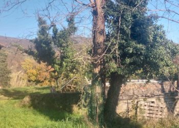 terreno - Villa Via Campasselva, frazione Santomato, Pistoia - foto 10