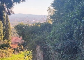 terreno - Villa Via Campasselva, frazione Santomato, Pistoia - foto 11