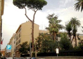 WhatsApp Image 2026-03-02 at 10.20.35.jpeg - Mansarda Via Castelfidardo, Roma - foto 1