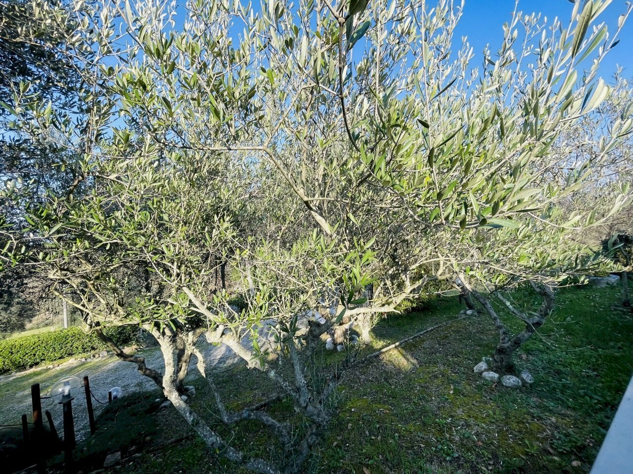 IMG_5442.jpeg - Villa a Schiera Via Battinebbia, Jesi - foto 1