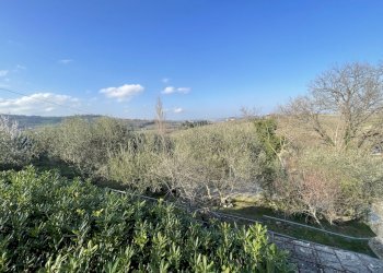 IMG_5436.jpeg - Terraced Villa Via Battinebbia, Jesi - photo 6