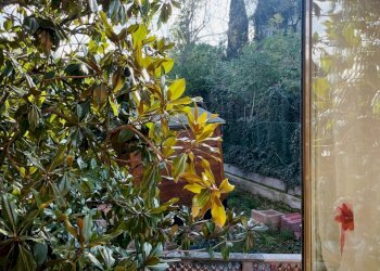 IMG_5475.jpeg - Terraced Villa Via Battinebbia, Jesi - photo 10