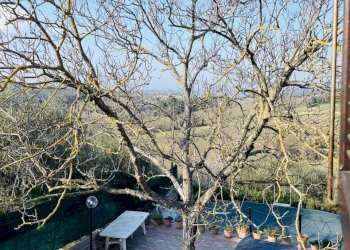 IMG_5480.jpeg - Terraced Villa Via Battinebbia, Jesi - photo 22