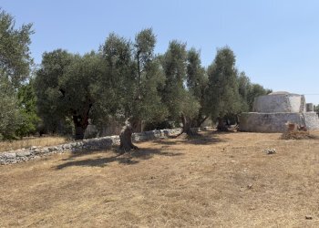 IMG_1493.jpeg - Casa indipendente contrada sorbole, Ostuni - foto 5