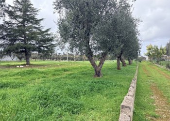 IMG_3191.JPG - Casa indipendente contrada sorbole, Ostuni - foto 7