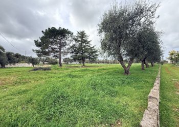 IMG_3192.JPG - Casa indipendente contrada sorbole, Ostuni - foto 8