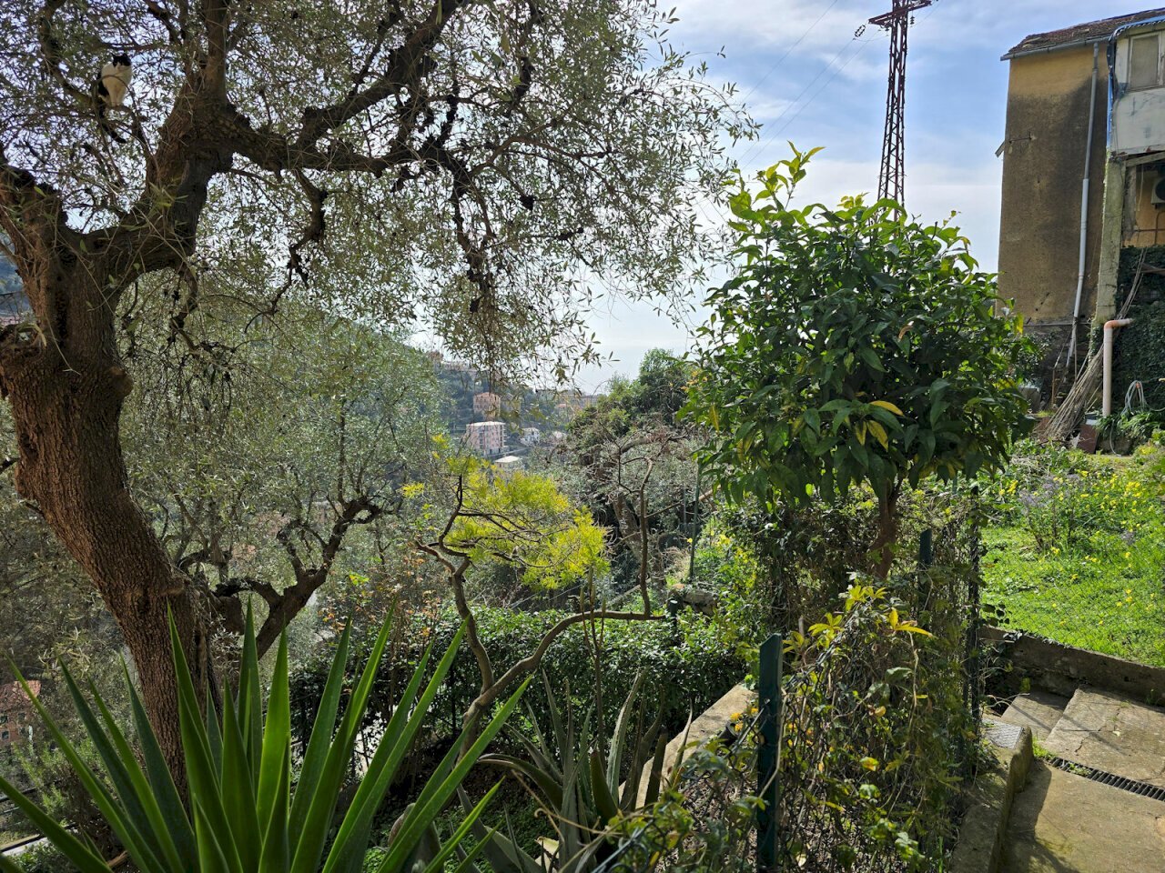 20260303_113348.jpg - Appartamento Via L. Bernabò Brea 56, Zoagli - foto 1