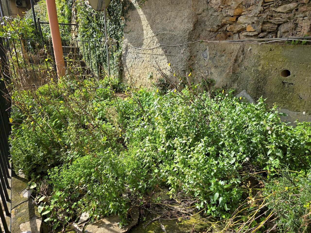 20260303_113410.jpg - Appartamento Via L. Bernabò Brea 56, Zoagli - foto 2