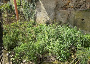 20260303_113410.jpg - Appartamento Via L. Bernabò Brea 56, Zoagli - foto 2