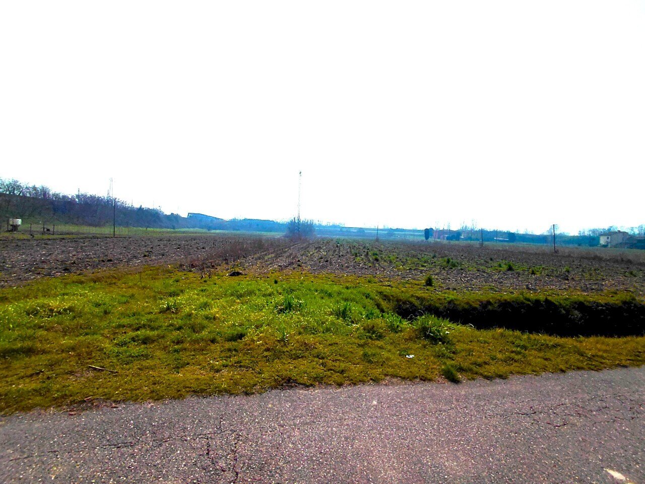 8669.1.jpg - Terreno agricolo Boara Pisani - foto 3