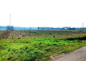 8667.1.jpg - Terreno agricolo Boara Pisani - foto 2