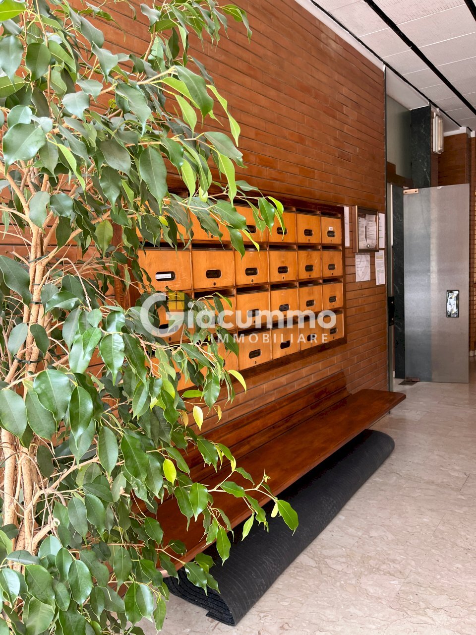 APP-ViaMaz1.jpg - Appartamento Via Giuseppe Mazzini 23/A, Potenza - foto 1