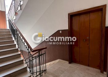 APP-ViaMaz2.jpg - Appartamento Via Giuseppe Mazzini 23/A, Potenza - foto 2