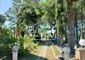 Villa Strada Valle del Dragone, Oriolo Romano - foto 65