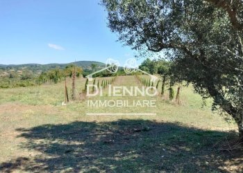 Villa Strada Valle del Dragone, Oriolo Romano - foto 72