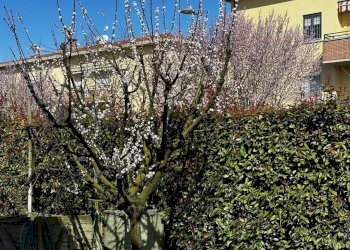 Villetta Budrio - foto 10