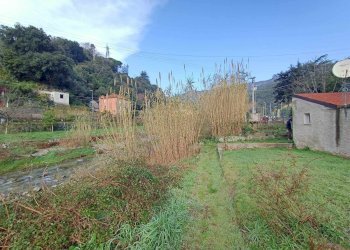 Trilocale Savona - foto 13