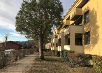 Quadrilocale Moncalieri - foto 37