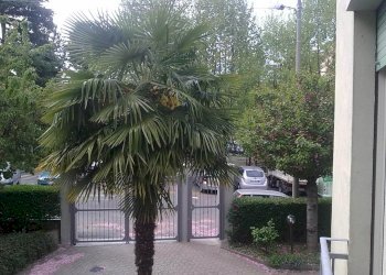 Appartamento Via Leo Colombo 11, Rivoli (TO), Rivoli - foto 16