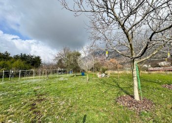 Terreno agricolo Con casetta Strada Buttiberghe, Val della Torre - foto 16