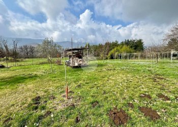 Terreno agricolo Con casetta Strada Buttiberghe, Val della Torre - foto 19