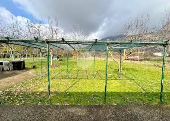 Terreno agricolo Con casetta Strada Buttiberghe, Val della Torre - foto 21