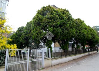 Trilocale Via Parma, San Lazzaro di Savena - foto 5