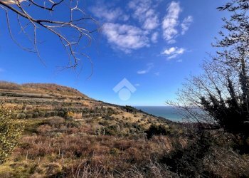 Terreno agricolo Via Bracciale, Finale Ligure - foto 7