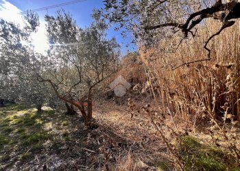 Terreno agricolo Via Bracciale, Finale Ligure - foto 11