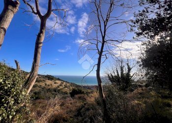 Terreno agricolo Via Bracciale, Finale Ligure - foto 13