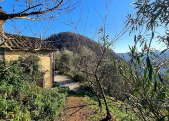 Rustic Borgo a Mozzano - photo 7