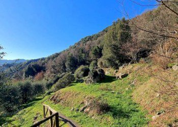 Rustic Borgo a Mozzano - photo 10