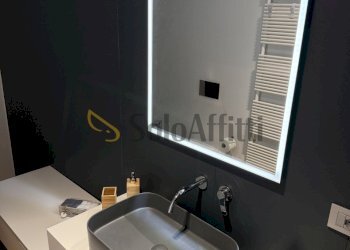 IMG_1178.JPG - Bilocale Via Giuseppe Luigi Lagrange 24, Torino (zona Centro) - foto 29