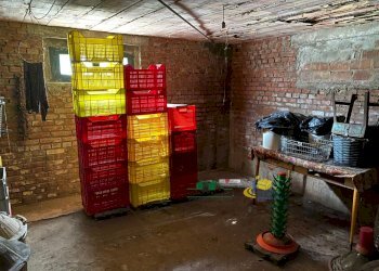 12.jpg - Villa via Chiesuole 6, Noceto - foto 5