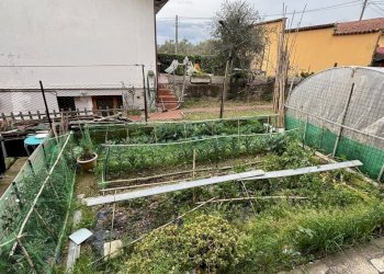 WhatsApp Image 2026-03-04 at 09.32.12(4).jpeg - Casa semi indipendente Castelnuovo Magra - foto 16