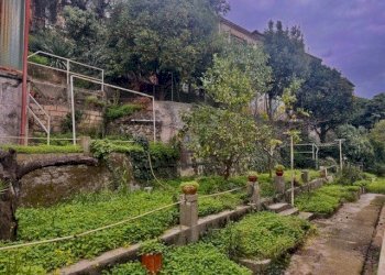 IMG_3518.jpeg - Appartamento Via XXV Aprile, Imperia - foto 14